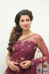 Hamsa Nandini at Bengal Tiger Movie Audio Launch